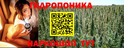 a pvp Бузулук
