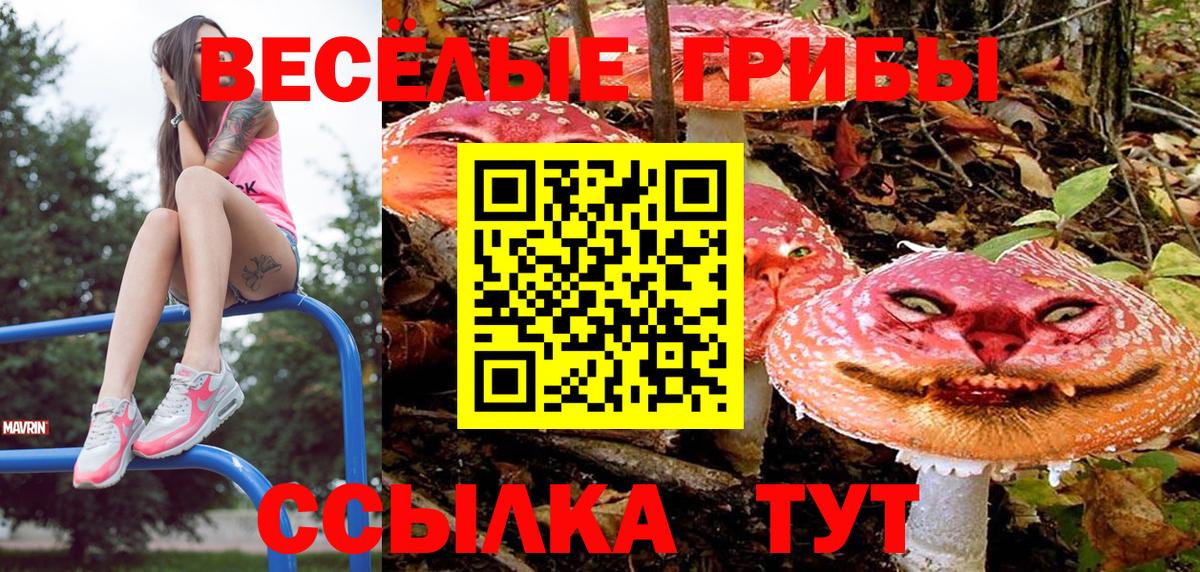 Псилоцибиновые грибы MAGIC MUSHROOMS Тельмана