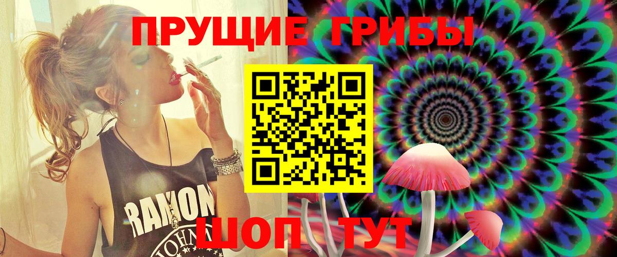 Псилоцибиновые грибы Psilocybine cubensis  Вход с VPN  Галлюциногенные грибы Psilocybe  Тельмана 