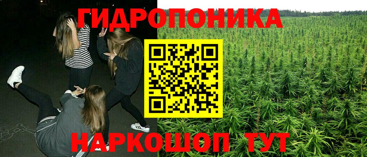 МАРИХУАНА SATIVA & INDICA  Вход с VPN  Тельмана  Марихуана гибрид  Конопля VHQ 